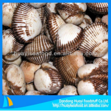 cheap frozen good blood clam low price best supplier